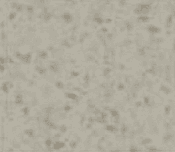 1 64 (4)
