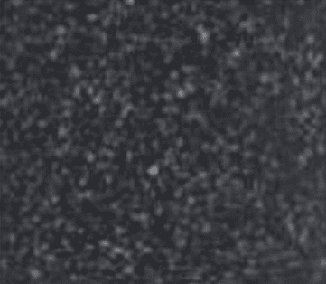 1 64
